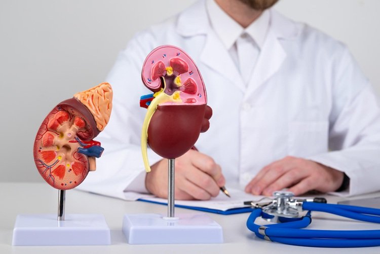 Kidney Diagnosis